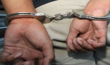 नूडल्स के पैकेट में छुपाए गए साढ़े छह करोड़ रू के हीरे और सोना बरामद; चार गिरफ्तार