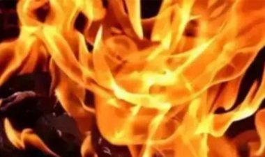 दिल्ली के मंडोली में इमारत में लगी आग, फायर विभाग ने पाया काबू