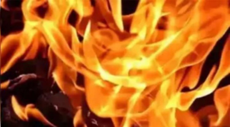 दिल्ली के मंडोली में इमारत में लगी आग, फायर विभाग ने पाया काबू