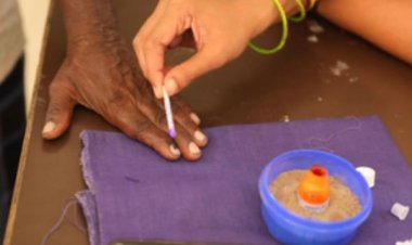 नासिक में टमाटर व प्याज की माला पहनकर मतदान करने पहुंचे दो किसान