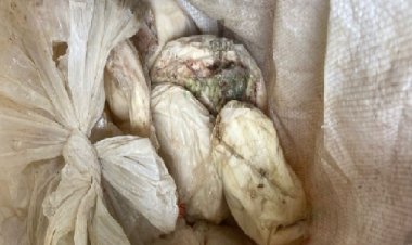 खाद्य विभाग के छापे में डेरी में मिली 50 किलो सड़ी मलाई...