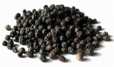 कई बीमारियों में बेहद असरदार है काली मिर्च