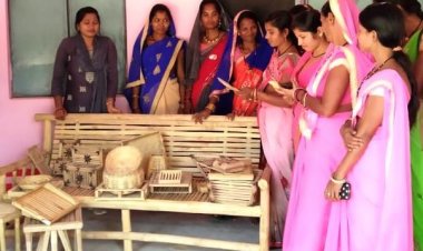 विशेष पिछड़ी जनजाति की कमार महिलाएं गढ़ रही है विकास की गाथा