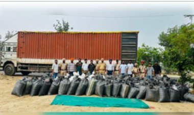 पंजाब पुलिस की बड़ी कार्रवाई, मध्य प्रदेश से लाई गई 41 क्विंटल पोस्त बरामद