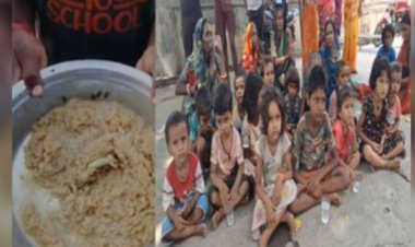 नालंदा में आंगनबाड़ी केंद्र में भोजन में मिली छिपकली, 20 बच्चे बीमार