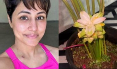 कैंसर से जूझ रहीं हिना खान घर पर कर रही गार्डनिंग, इंस्टा पर शेयर किया वीडियो