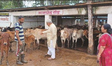 गौधन न्याय योजना बंद होने से गौवंश की स्थिति दयनीय : वोरा