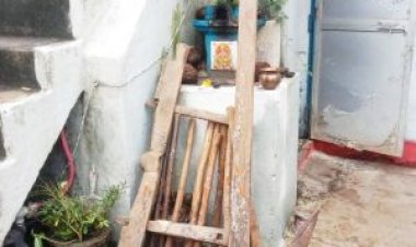 पहले लोक त्यौहार हरेली में कृषि यंत्रों और बैलों की पूजा