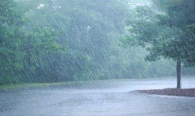 छत्तीसगढ़ में अब तक 758.4 मि.मी. औसत वर्षा