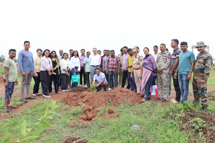 वृक्षारोपण???? Tree Plantation