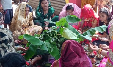 हरतालिका तीज आज:युवती, सुहागन महिलाओं ने व्रत रखकर की शिव-पार्वती की पूजा