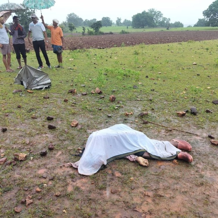 धीरवन गांव में गिरी आकाशीय बिजली:चरवाहा सहित तीन नग मवेशी की मौत, घटनास्थल पर पहुंची पुलिस, जांच जारी