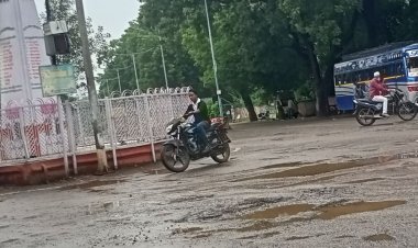 बड़वानी में भारी बारिश जारी:कपास-सोयाबीन की फसलें हुई प्रभावित, सड़कों पर जमा हुआ पानी