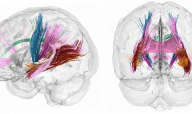 मां बनने से सचमुच बदल जाता है महिला का दिमाग