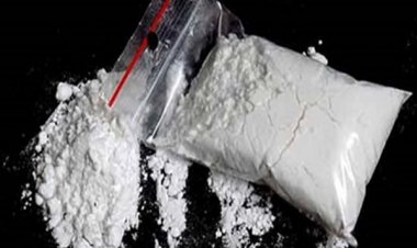 इंदौर में 50 लाख रुपये की एमडी ड्रग्स के साथ दो आरोपित गिरफ्तार