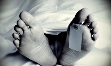 हरियाणा पीट-पीट कर हत्या: प्रवासी मजदूर के घर से लिया गया मांस का नमूना गोमांस नहीं