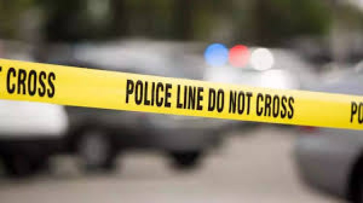 सिंध में  लड़की ने जहर देकर मौत की नींद सुलाए परिवार के 13 लोग, नहीं मानी थी बस एक बात