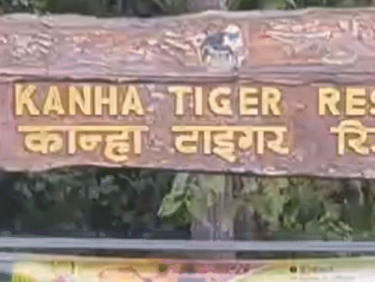 कान्हा टाइगर रिजर्व में तितली सर्वेक्षण का सफल समापन:11 राज्यों के 74 वॉलिंटियर्स ने 39 फॉरेस्ट कैंप में 4 दिनों तक किया सर्वेक्षण