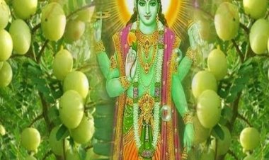 ​​​​​​​लालघाटी अग्रवाल समाज का आंवला नवमी व दीपावली मिलन समारोह:सीहोर रोड स्थित ग्राम खजूरी में गीत-संगीत, खेलकूद और आर्केस्ट्रा का आयोजन