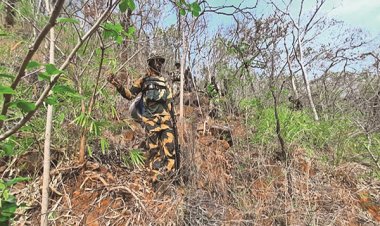 बीजापुर में नक्‍सलियों के खिलाफ पुलिस का बड़ा ऑपरेशन, मुठभेड़ में दो नक्‍सली ढेर, रुक-रुक कर हो रही फायरिंग