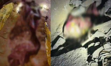 कलर्स मॉल के पास मिला युवती का शव