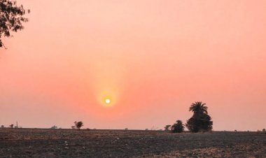 एक सप्ताह में न्यूनतम और अधिकतम टेम्प्रेचर में गिरावट:मंदसौर में चार डिग्री सेल्सियस गिरा तापमान, सुबह हल्की धुंध के साथ ठंड का असर बढ़ा