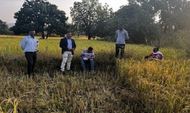 अवैध धान के विक्रय, रिसाइक्लिंग पर रोक लगाने प्रशासन गंभीर