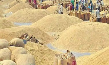 तीन दिन की धान खरीदी में आकड़ा 3 लाख टन के पार
