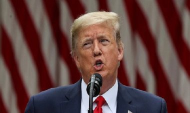 डोनाल्ड ट्रम्प की विजय और भारत