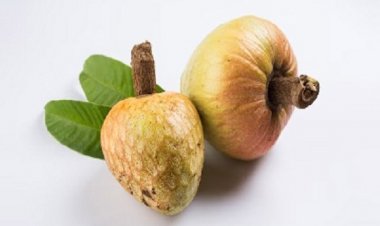 सेब और अमरूद से कहीं ज्यादा मीठा और स्वादिष्ट होता है रामफल