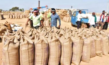 छत्तीसगढ़ में 5.37 लाख मीट्रिक टन धान की हुई खरीदी