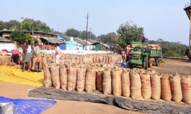 जिले में अब तक 01 लाख 17 हजार 360 क्विंटल धान की हुई खरीदी