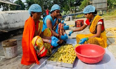 प्रदेश का एकमात्र वनधन केन्द्र दुगली जहां एलोवीरा का प्रिमियम प्रोडक्ट किया जाता है तैयार