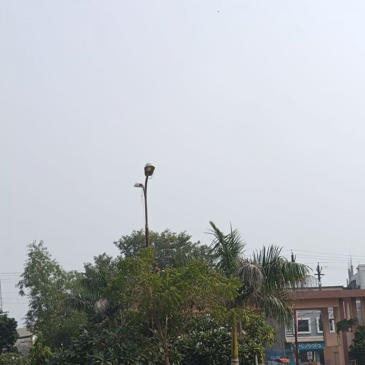 अशोकनगर में नवबंर के दूसरे सप्ताह में बढ़ेगी सर्दी:सुबह-सुबह ठंडी हवा से गुलाबी ठंड का एहसास, दिन में धूप से गर्मी का असर