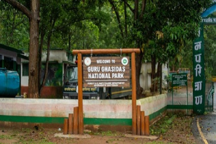 छत्तीसगढ़ में देश का 56वां टाइगर रिजर्व अधिसूचित