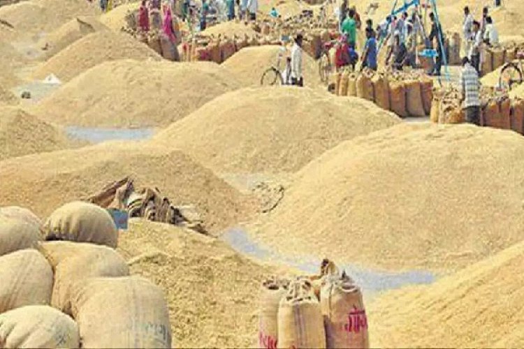 तीन दिन की धान खरीदी में आकड़ा 3 लाख टन के पार