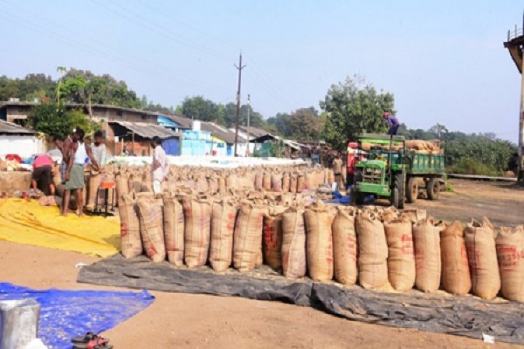 जिले में अब तक 01 लाख 17 हजार 360 क्विंटल धान की हुई खरीदी