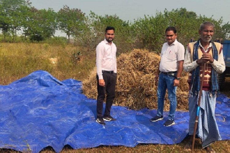 सरकारी जमीन में कब्जा कर खेती, फसल जब्त