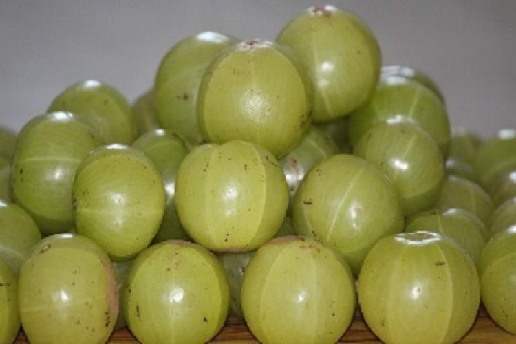 घर पर बनाएं आंवले खट्टी-मिठी डाइजेस्टिव गोली