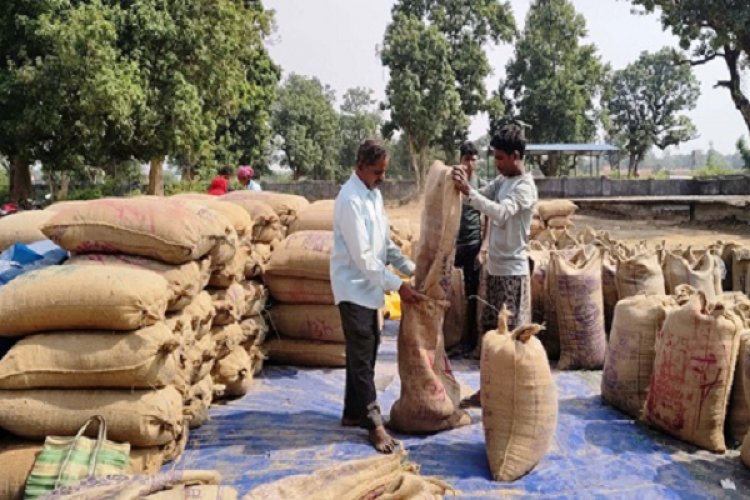 किसानों को मिल रहा मेहनत का फल, सरकार की व्यवस्था हो रही सफल