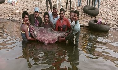 मछुआरों के जाल में फंसी 65 किलो की मछली