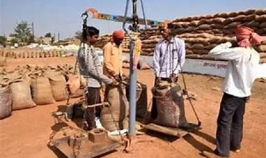 रायपुर जिले में 13 हजार 408 टन धान की हुई खरीदी