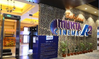 'पुष्पा' की कमाई पर डाका,चोर उड़ा ले गए लाखों