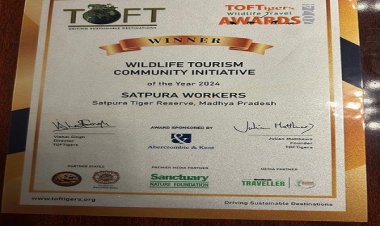 सतपुड़ा वर्कर सोसायटी एवं पेंच टाइगर रिजर्व टीओएफटी अवॉर्ड से सम्मानित