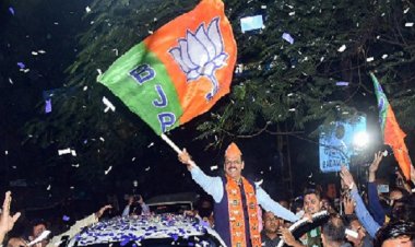 देवेंद्र फडणवीस भाजपा के लिए चाणक्य बन चमक रहे हैं