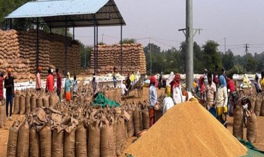 महासमुंद में अब तक 274341.76 टन धान खरीदी