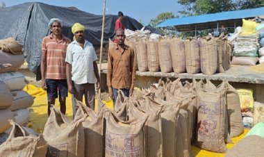 अच्छी फसल और अच्छा कीमत पाकर खुश है तीन भाई