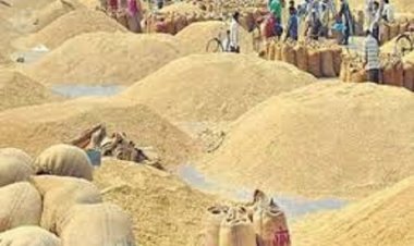 लंबित भुगतान को लेकर गतिरोध हुआ दूर, उठाव होगा शुरु