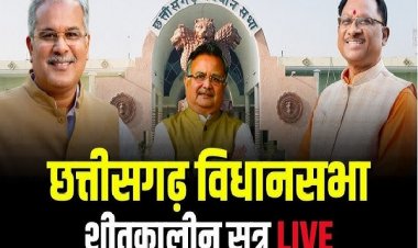 छत्तीसगढ़ विधानसभा शीतकालीन सत्र 2024, दूसरे दिन की कार्यवाही शुरू