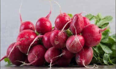 शलजम में पाया जाता है ये सबसे जरूरी विटामिन